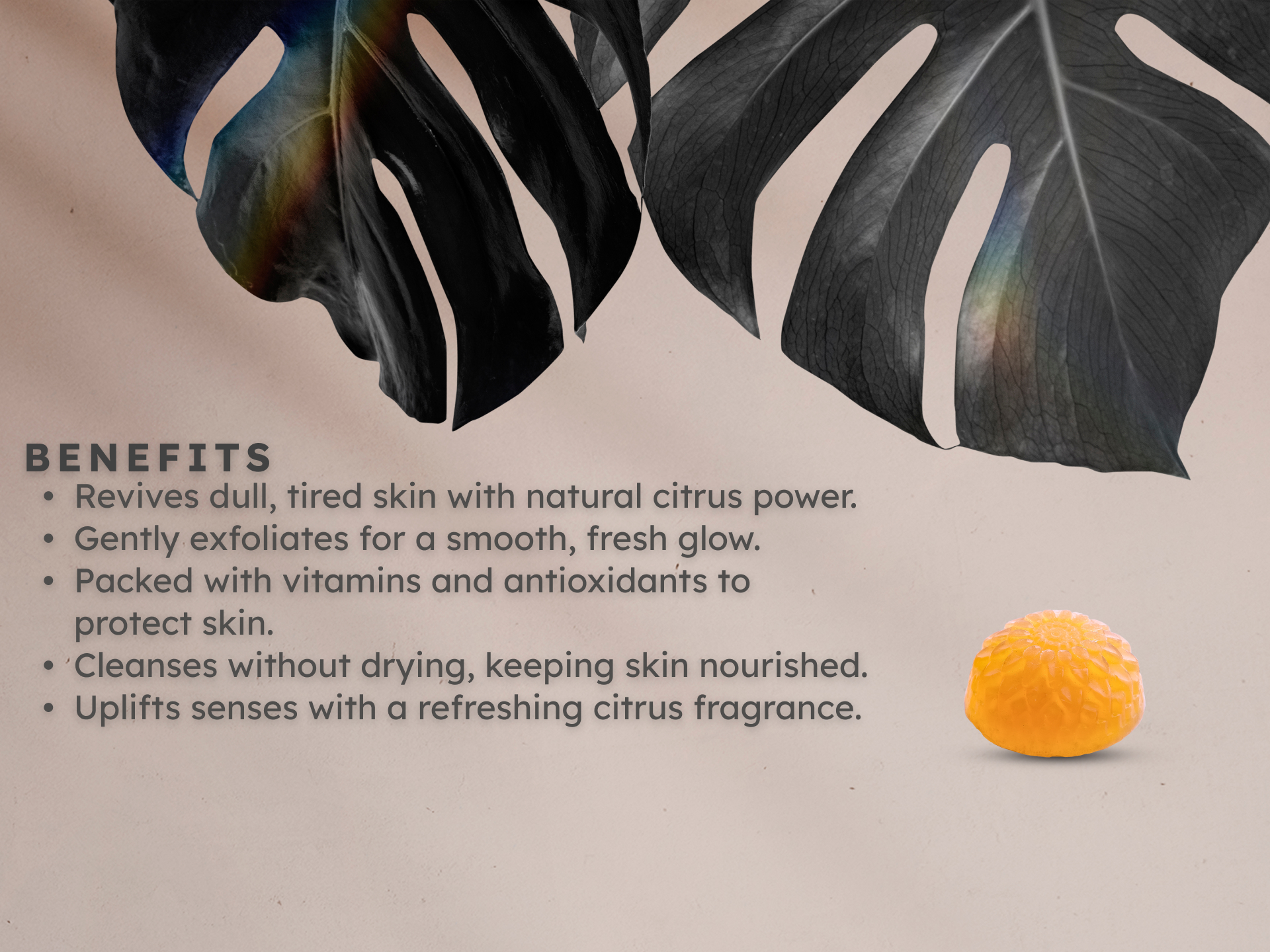 Citra Bloom - Image 2